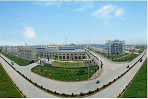 �o�a����ˎ�I